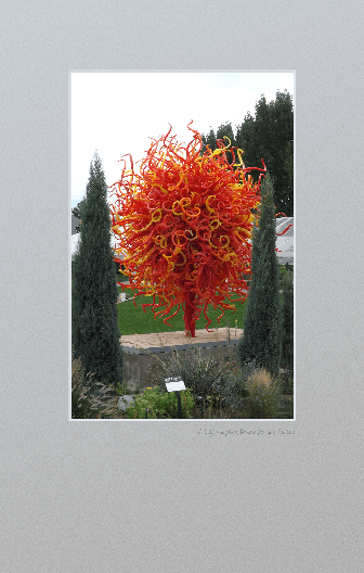 Glass sculpture at Denver Botanical Gardens